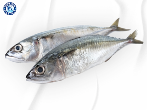 নারকেলি সুরমা ( ৫-৬ পিসে কেজি )