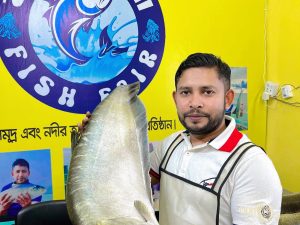 চিতল মাছ