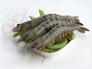 বাগদা চিংড়ি বড়