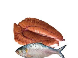 সামুদ্রিক ইলিশ (৩পিসে) কেজি