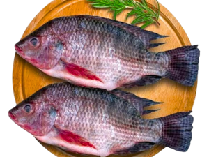 দেশি তেলাফিয়া/