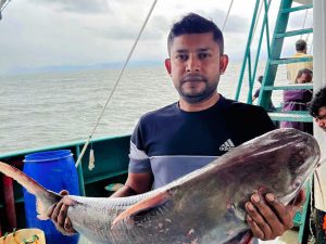 মোছকাটা বা গুইজ্জা মাছ/ CAT FISH/ ২-কেজি সাইজ