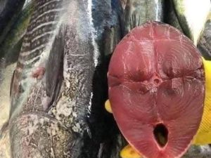 ইয়োলোফিন/  টুনা ফিস
