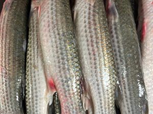 বড় বাটা ২ পিসে কেজি হবে ।